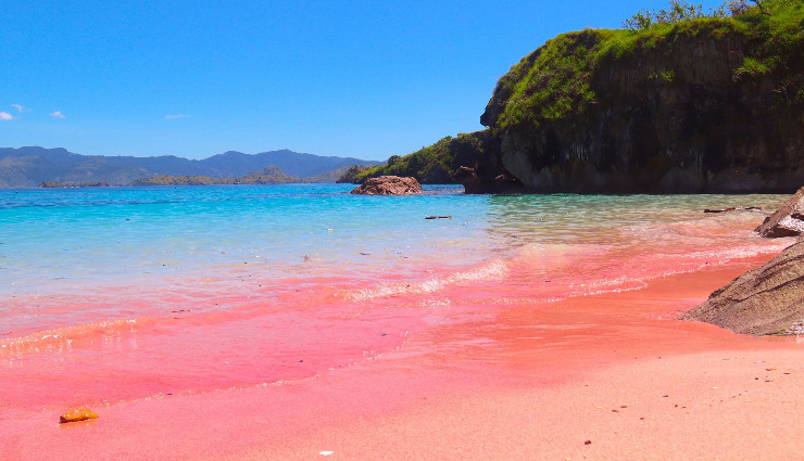 pink beaches,famous pink beaches,worlds pink beaches,best pink beaches to visit,pink sand beaches,travel guide pink beaches,unique beaches to explore,pink sand destinations,beautiful pink beaches,pink beaches for travel enthusiasts