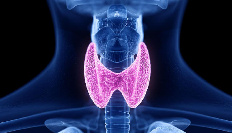 9 Major Causes and Symptoms of Thyroid - lifeberrys.com