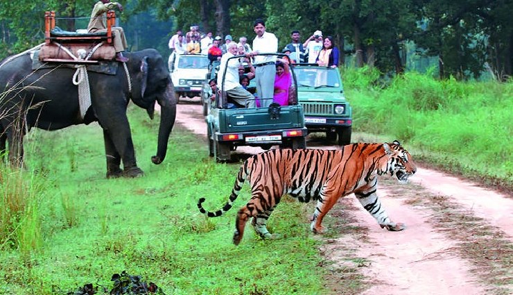 भारत के 6 फेमस नेशनल पार्क्स, बाघों का दीदार होगा यादगार