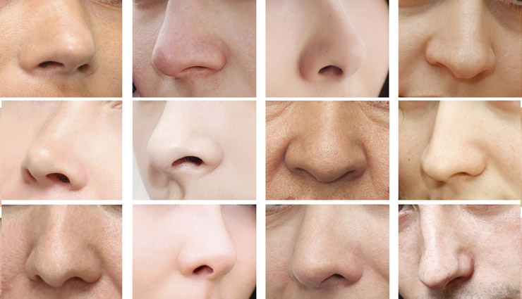 nose shape,character according to nose shape ,नाक