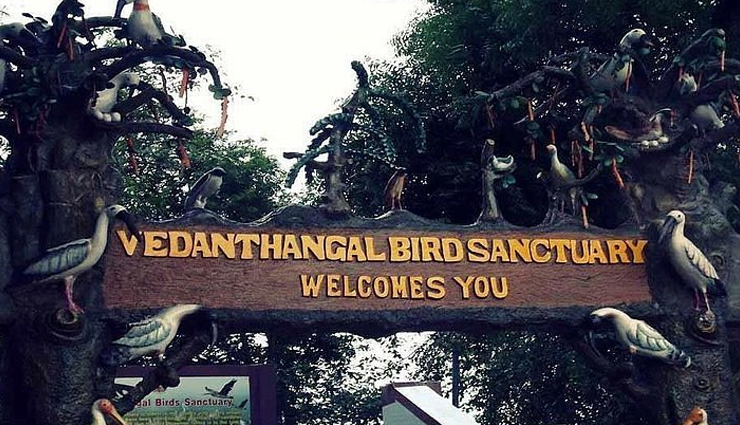 10 National Parks and Wildlife Sanctuaries in Tamil Nadu - lifeberrys.com