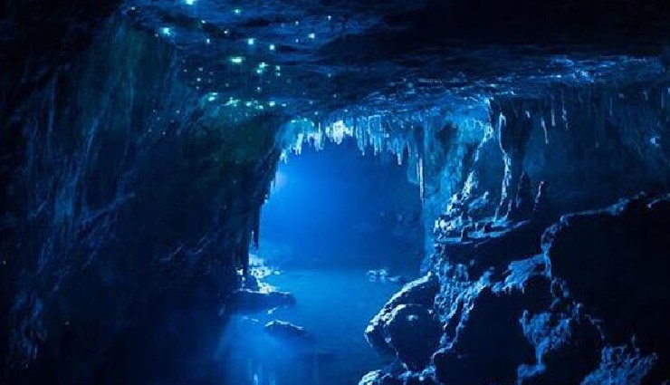 waitomo caves new zealand,glow in the dark caves,waitomo glowworms,natural wonders in new zealand,arachnocampa luminosa glowworms,things to do in waitomo caves,waitomo caves tour,new zealand glowworm caves,waitomo caves attractions