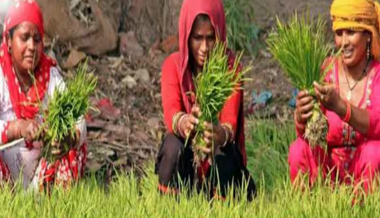 पीएम किसान सम्मान निधि को दोगुना कर सकती है सरकार, महिला किसानों को साधने का प्रयास